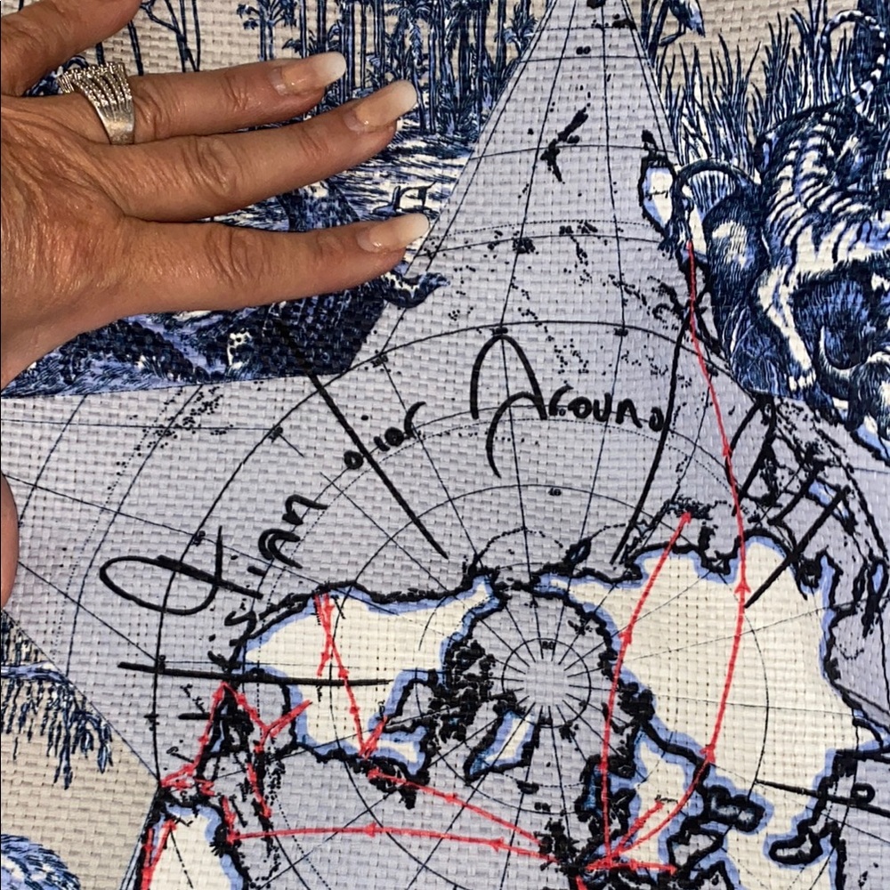 Dior Blue and Tan Tote Bag around the world - Picture 9 of 13
